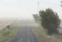 Atenționare meteo: cod galben, vânt puternic de la ora 11:00