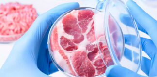 Profesor la Facultatea de Ştiinţa şi Ingineria Alimentelor Galaţi: Carnea în laborator pentru moment e o promisiune. Ea nu a reuşit încă să ajungă la structura normală a cărnii