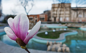 Echinocţiu: Primăvara astronomică începe azi la ora 23.24